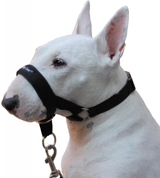 Dog Head Collar Halter Black XLarge