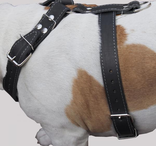 Genuine Leather Dog Harness