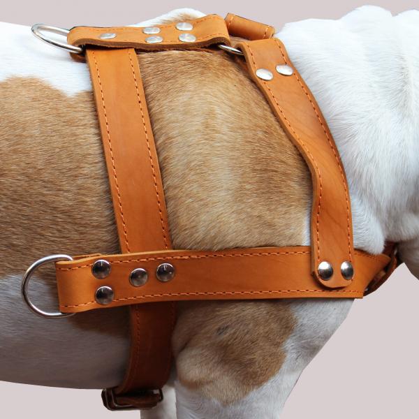 Leather Dog Pulling Harness 33