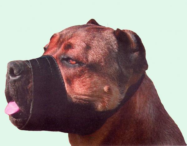 Nylon Dog Muzzle