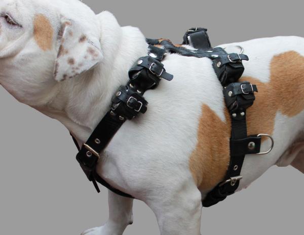 Weighted Pulling Dog Harness 8Lb