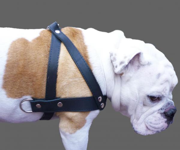 Genuine Leather Dog Pulling Harness XLarge