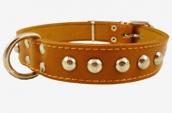 Real Leather Studded Dog Collar