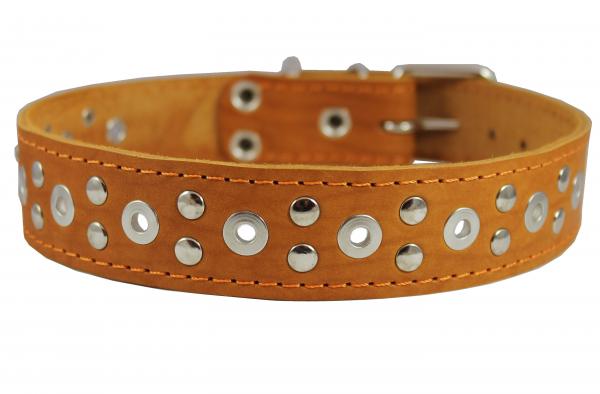 Genuine Leather Studded Red Dog Collar