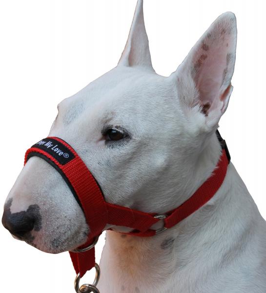 Dog Head Collar Halter Red XLarge