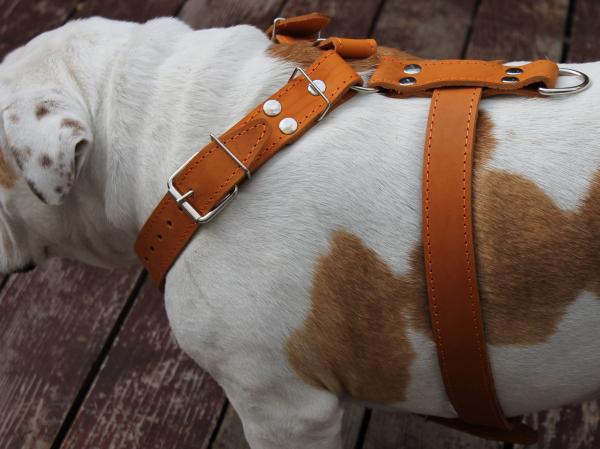 Genuine Leather Dog Harness  33