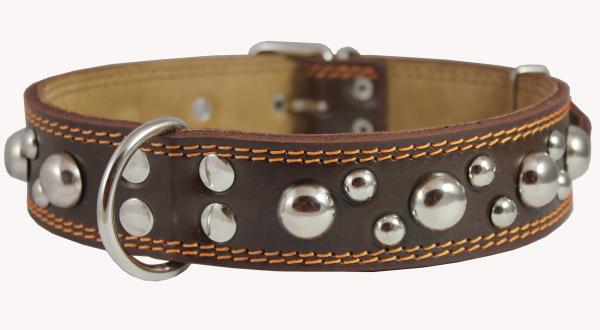 Genuine Leather Studded Dog Collar