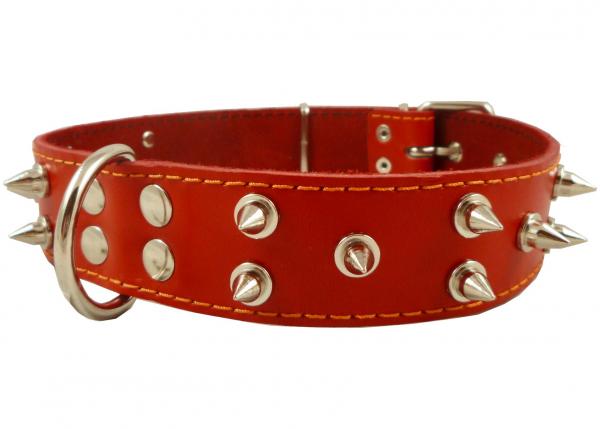Genuine Leather Spiked Dog Collar