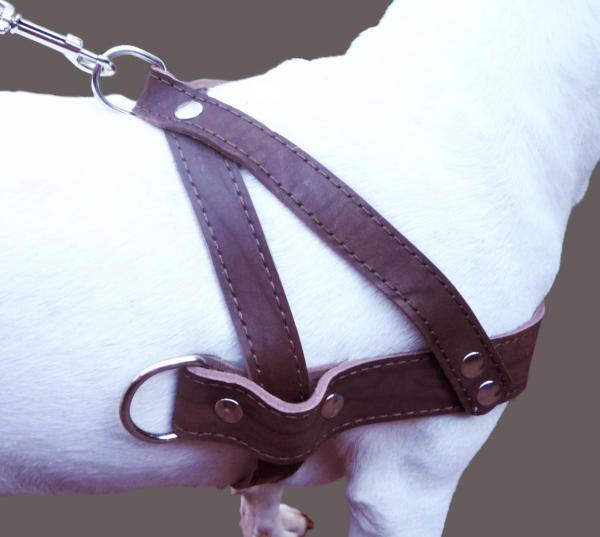Genuine Leather Dog Pulling Harness