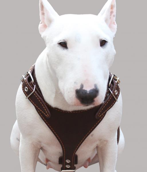 Genuine Leather Dog Harness 25