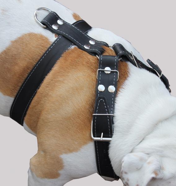 Genuine Leather Dog Harness 35