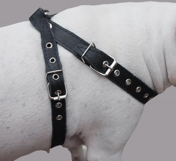 Quality Leather Dog Harness 21