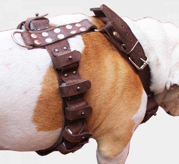 7 lbs Genuine Leather Weighted Dog Harness