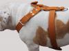 Genuine Leather Dog Harness 35