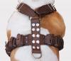5.5lbs Genuine Leather Weighted Dog Harness