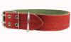 Leather Dog Collar, Padded, Fits 23