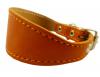 Leather Tapered Dog Collar 8.5