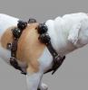 Leather Weighted Pulling Dog Harness 8 Lb