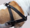 Leather Dog Pulling Harness 31