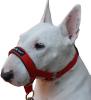 Dog Head Collar Halter Red Large