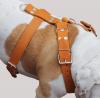 Genuine Leather Dog Harness 30
