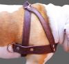 Genuine Leather Dog Pulling Harness XLarge