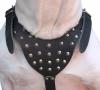 Genuine Leather Dog Harness Dull Spikes